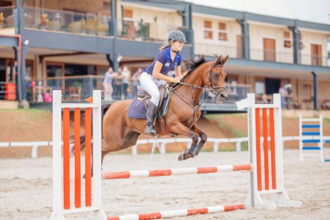 Especial Nacional: Programa do Cavalo Árabe retorna nesta 4ª feira