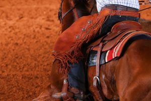 ABQM divulga calendário de eventos para a temporada 2021