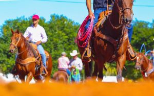 44º Campeonato Nacional da ABQM é adiado