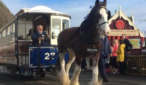 Atrelagem – passeios a cavalo em carruagens