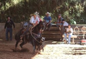 Breakaway Roping encerra o ano com saldo positivo