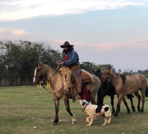 Bruxo dos Potros cumpre promessa após 353 dias de viagem a cavalo