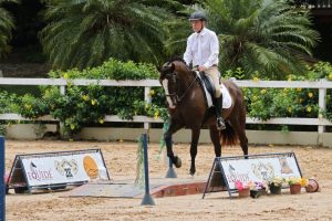 Campeonato Brasileiro Virtual de Equitação de Trabalho concluído com sucesso