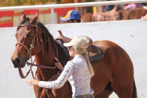 Dicas de aquecimento para atletas do esporte equestre