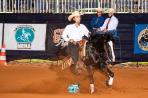 Cavalos Crioulos são premiados no Potro do Futuro e Nacional ANCR