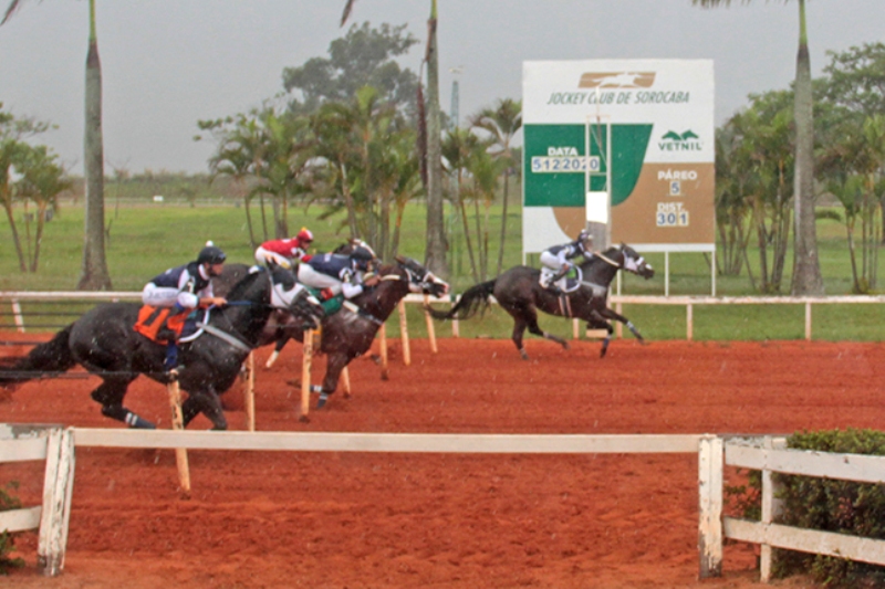 Haras Portofino é primeiro, segundo e terceiro no GP Taça de Ouro