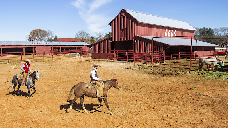 Situado no Texas, Estados Unidos, o Four Sixes Ranch é conhecido por seus cavalos famosos na linhagem de trabalho western