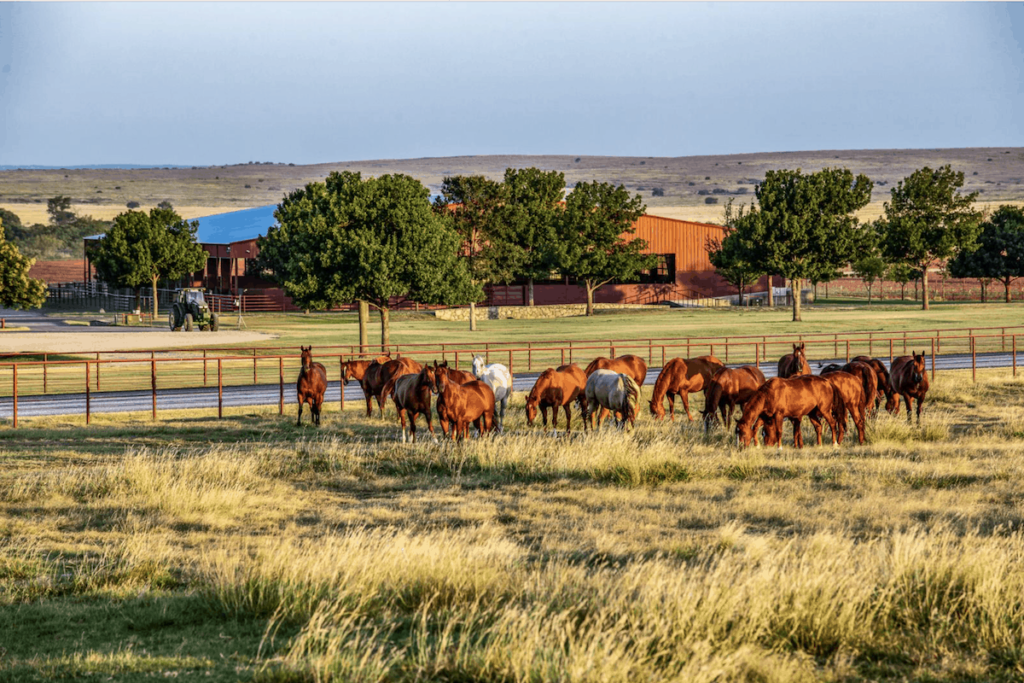 Situado no Texas, Estados Unidos, o Four Sixes Ranch é conhecido por seus cavalos famosos na linhagem de trabalho western