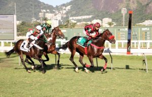 Raça amplamente difundida mundialmente, o Puro-sangue inglês é também conhecido pelo nome da modalidade a qual se destina: cavalo de corrida