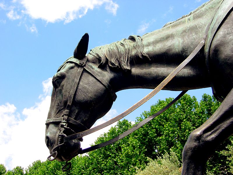 Antes de mais nada, Rocinante é um dos mais famosos cavalos da arte literária; companheiro fiel do famoso Dom Quixote de La Mancha