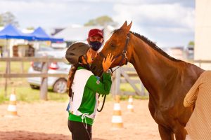 Cavalo Árabe garante vaga na seletiva do Pan-Americano de Enduro 2021