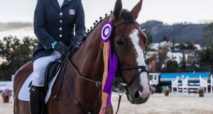 6 fatos surpreendentes sobre o rosto dos cavalos