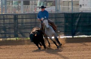 11 diferentes tipos de equitação western que você deve experimentar