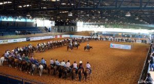 6º Team Penning do Bem terá 100% de arrecadação em prol do Hospital de Amor