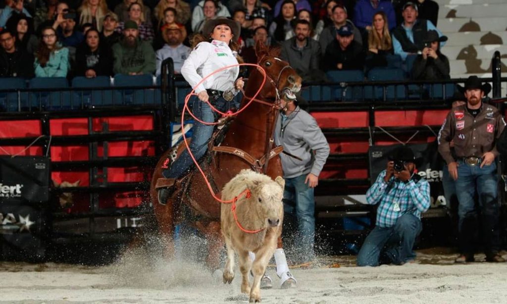 Corda Breakaway Honda Per Allenamento Roping - American Heritage Equine - Nuova
