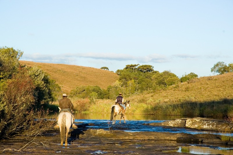 Paulo Junqueira conta em sua primeira coluna de 2021 sobre um destino da Rota dos Tropeiros, a cavalgada de Coxilha Rica, na região de Lages