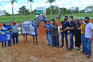 Cavalo brasileiro é eleito melhor da América do Sul pela AQHA