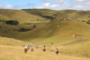 Coxilha Rica é pioneira em viagens a cavalo por Santa Catarina