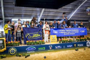 Haras Lagoinha: há 18 anos como Melhor Criador e Expositor Mangalarga Pampa