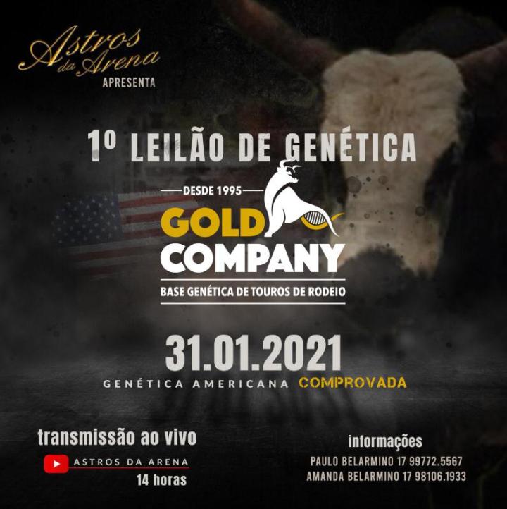 O 1º Leilão Gold Company acontece dia 31 de janeiro através do Youtube e oferta a melhor genética importada de touro de rodeio do mercado