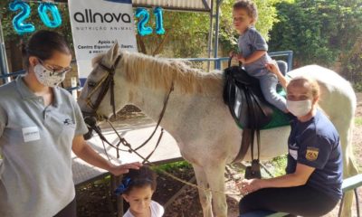 Equoterapia é um método terapêutico e educacional, que utiliza o cavalo em abordagem interdisciplinar; busca desenvolvimento biopsicossocial