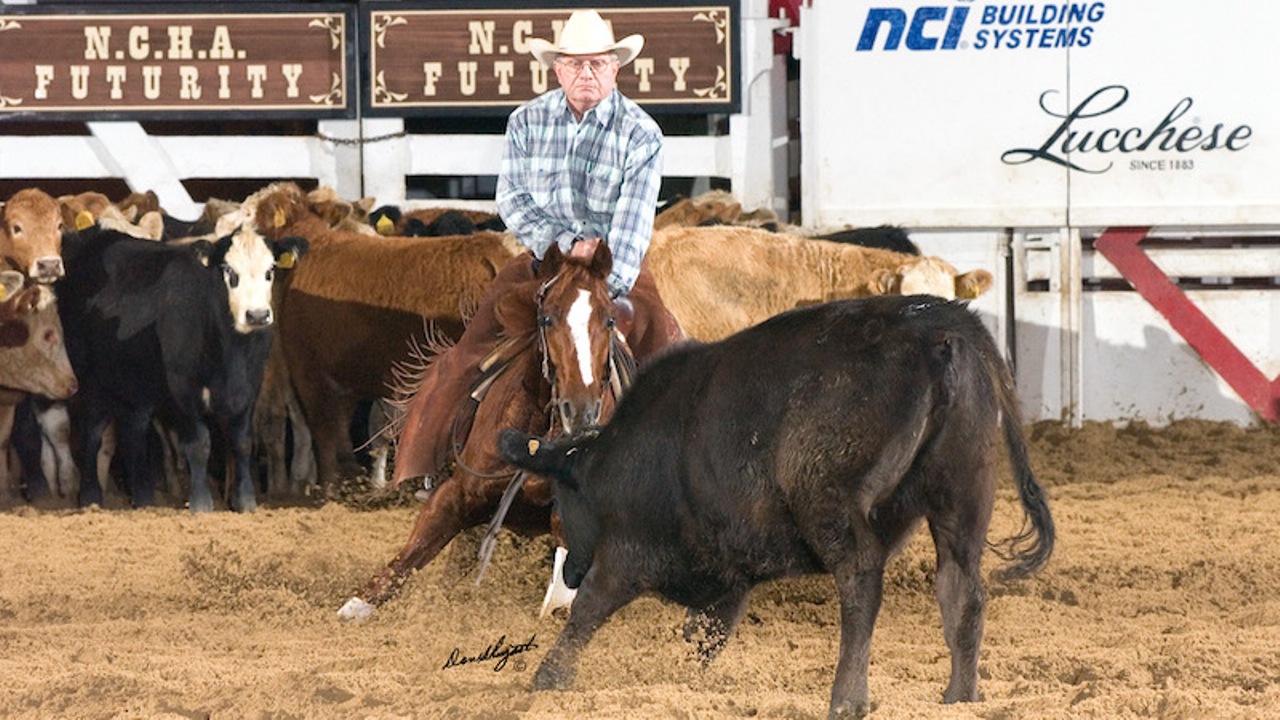 Terry Riddle dedica mais de 40 anos da sua vida à Apartação - Cavalus