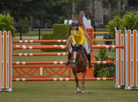 Brasileiros emplacam bons resultados em prova de Salto na Flórida