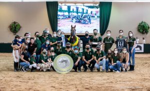 Halter e Três Tambores são temas da 19ª edição do Programa do Cavalo Árabe