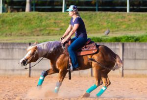 Carol Heinzen mudou de estado para ficar mais perto dos cavalos