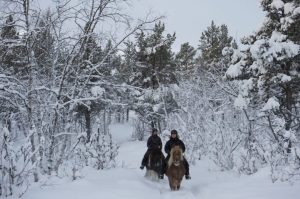 Cavalgada de Inverno na Suécia