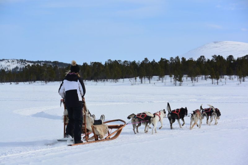 Cavalgada de Inverno: Paulo Junqueira relata, junto com os detalhes dessa cavalgada, um pouco sobre a cultura Sami, clima e o hotel de gelo