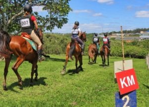 Conheça a Associação Brasileira de Cavaleiros de Hipismo Rural