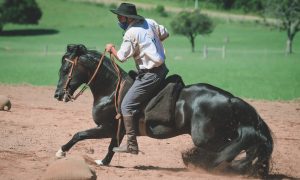 Credenciadoras ao Freio de Ouro apresentam alto nível de competitividade