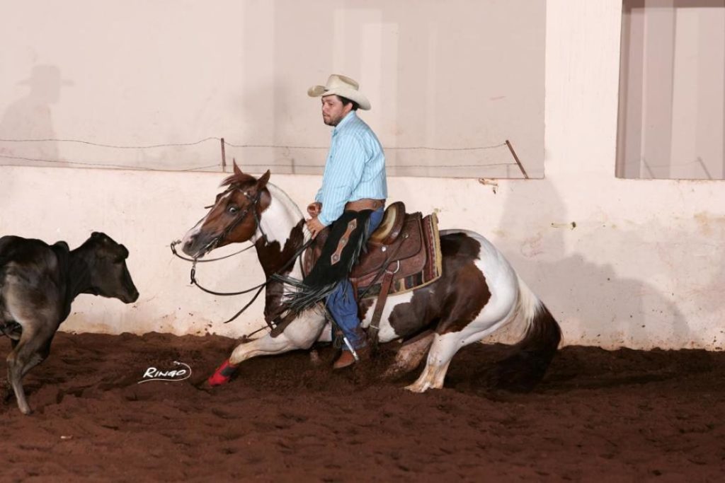 O WP Ranch tem como garanhão-chefe o animal Winning Pep, o único Super Horse da raça Paint; confira em entrevista a paixão pelo Paint Horse