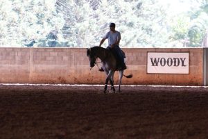 Dicas de spin para potros em início de treinamento