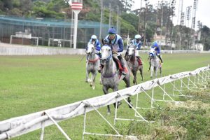 Exemplares da raça Árabe disputam Prêmio Maurício Fonseca Sad no JCSP