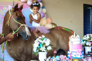 Fantasiado de unicórnio, cavalo surpreende menina em festa de aniversário