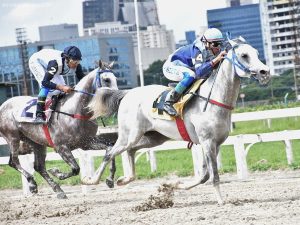 Stud Rach conquista pódio triplo no Prêmio Maurício Fonseca Sad