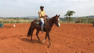 “O cavalo mudou a minha vida, sem ele não sou nada”, conta treinador