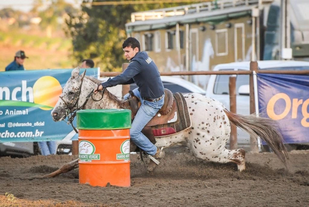 Os exemplares da raça Appaloosa que se destacam nos Três Tambores