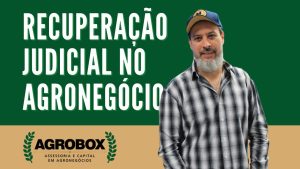 O que é recuperação judicial para o produtor rural?