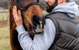 Como anda sua parceria com seu cavalo?