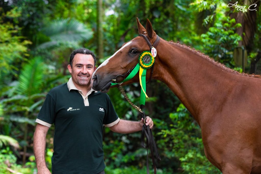 Cavalos exercem grande importância para a história da humanidade