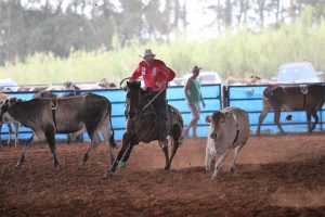 Bryan Eysink tem orgulho de sua trajetória no Team Penning