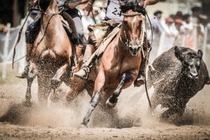 Classificatória ao Freio de Ouro 2021 é realizada na Argentina