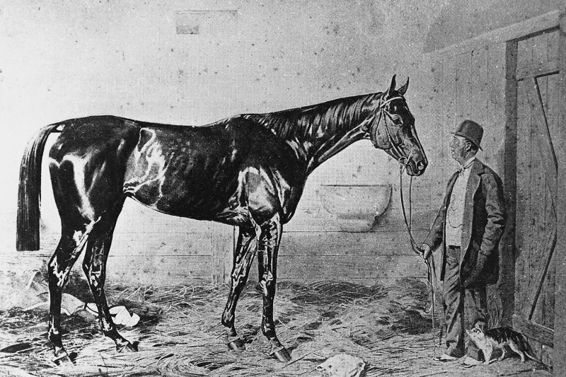Luciano Rodrigues, cavaleiro e pesquisador, conta a história de Kincsem, o cavalo húngaro com maior índice de vitórias em corrida