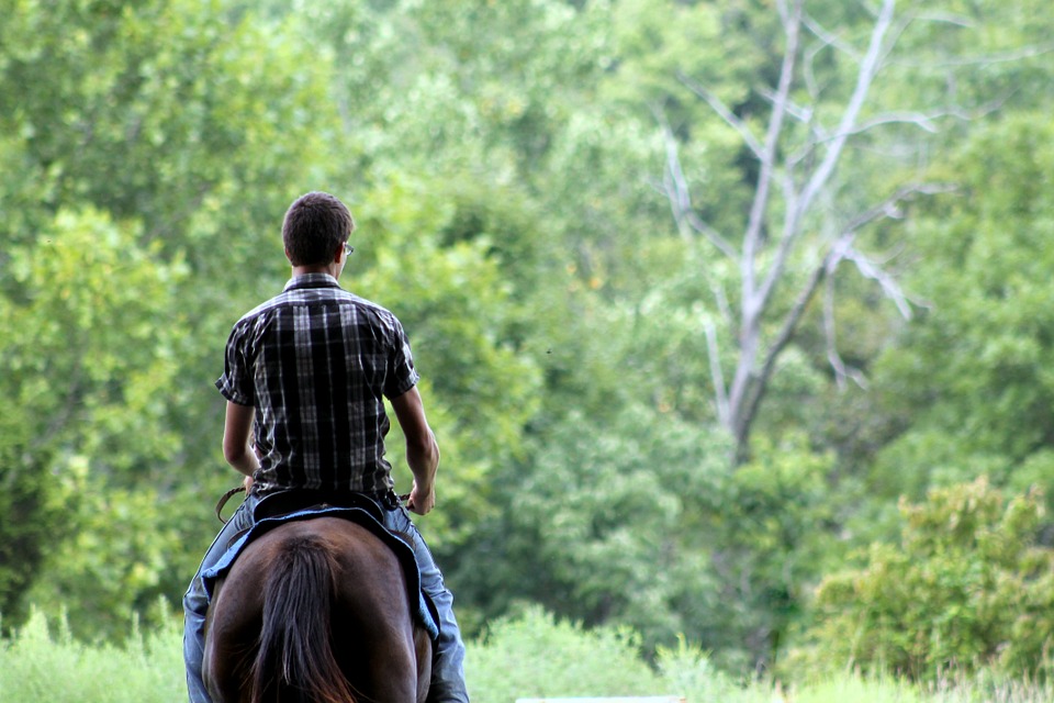Confira esses conselhos se você está em busca de um novo cavalo para montar: dicas para sua primeira visita ao comprar um cavalo. Confira!