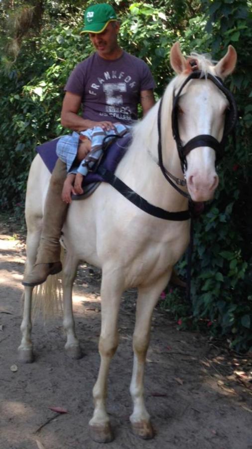 Fisioterapeuta e ex-jogador de vôlei, trabalhar com cavalos é a realização de Fernando com hipoterapia atendendo pacientes de todas as idades