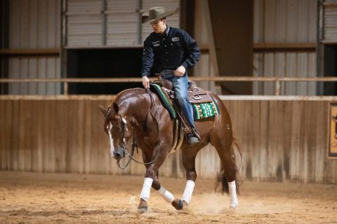 Lucio Casalecchi realiza o sonho de trabalhar com Rédeas nos EUA