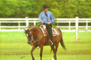 Uma homenagem a Augusto Maurício Wanderley